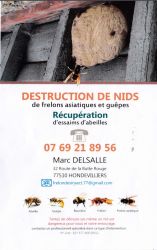 destruction nids de guêpes et frelons